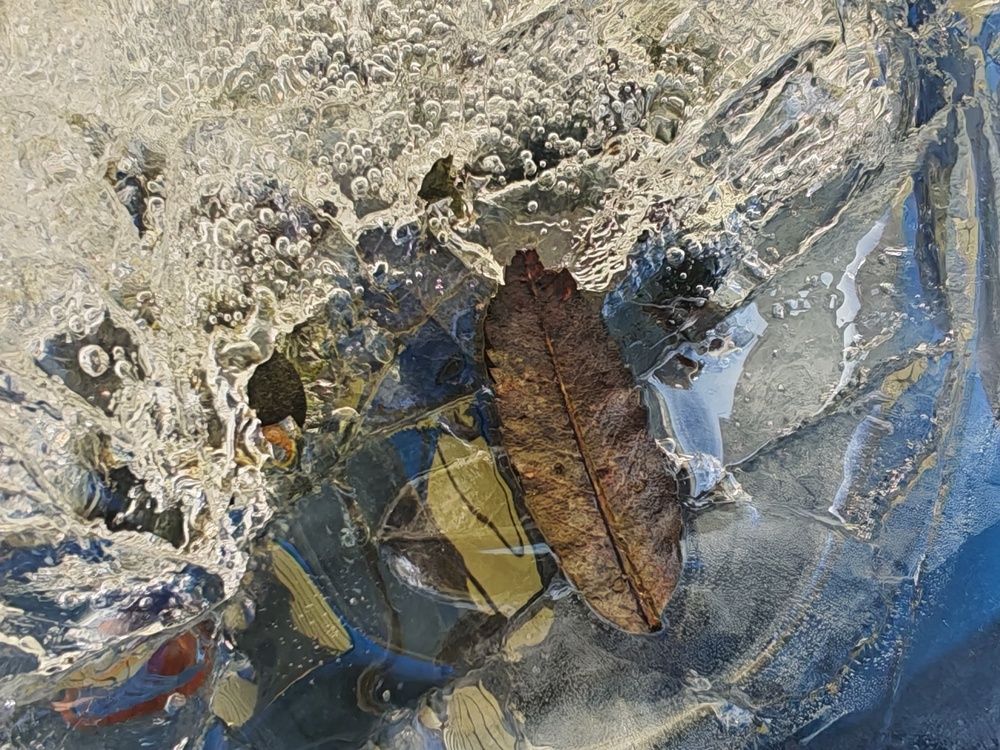 Photograph by Ольга Кузнецова