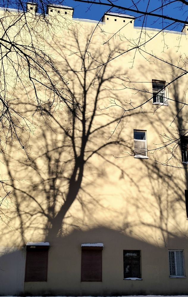 Photograph by Svetlana Aleks
