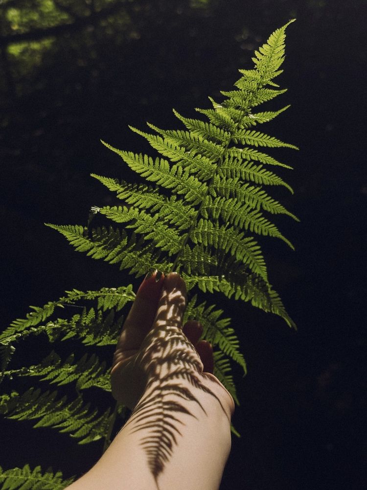 Photograph by Анастасия