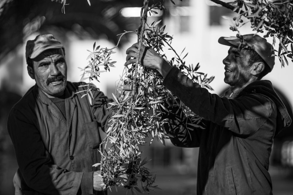 Photograph by Mohamed Rezaiguia