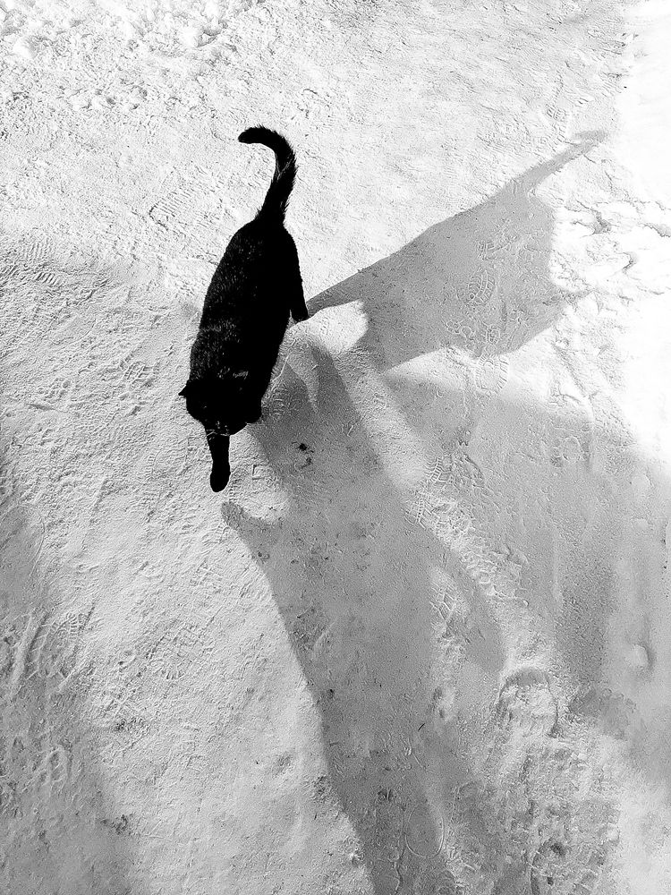 Photograph by Ригина Айдель