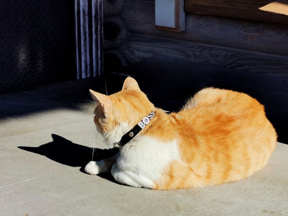 Photograph by Наталия Питолина