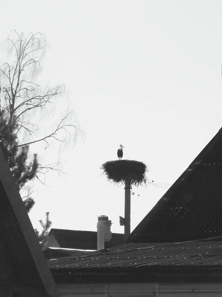 Photograph by Светлана Кустова