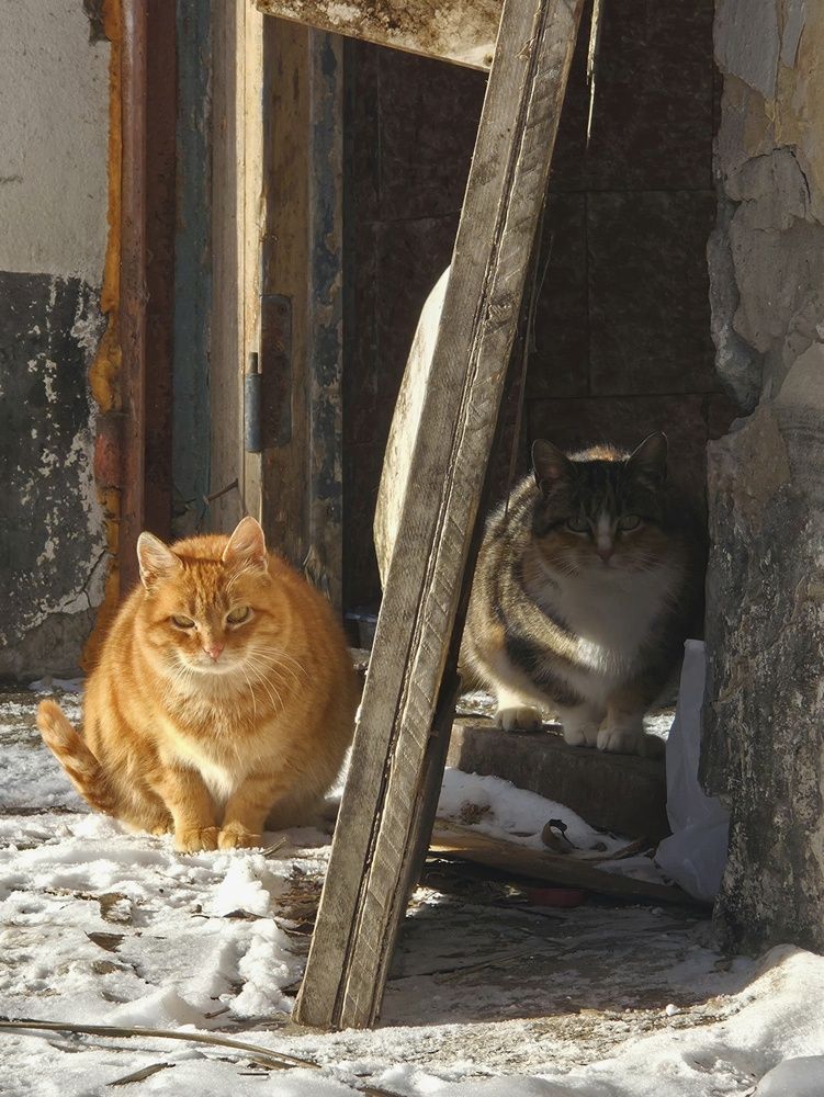 Photograph by Светлана Кустова