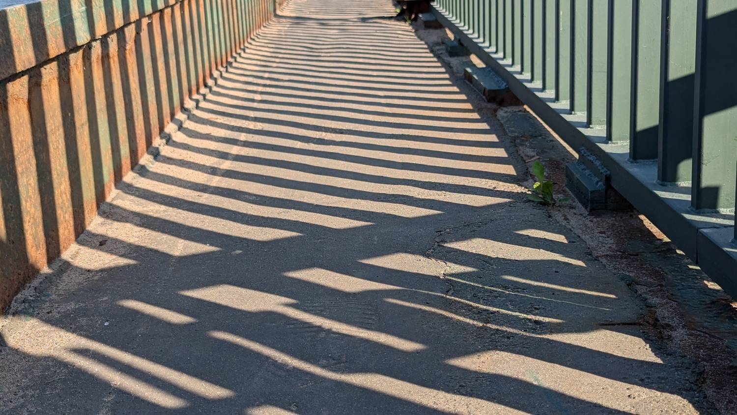 Photo #13461518