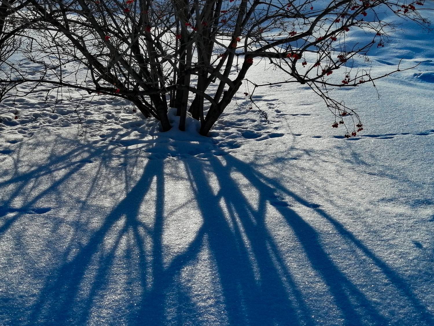 Photo #13461627