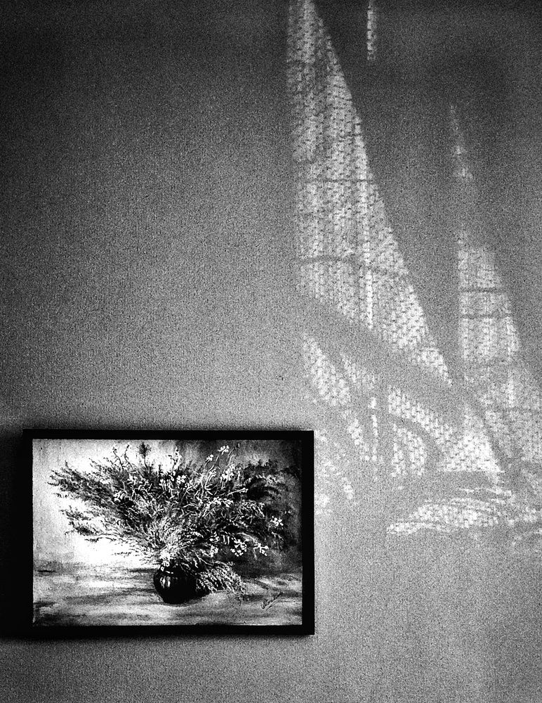 Photograph by Наталья Трофимова