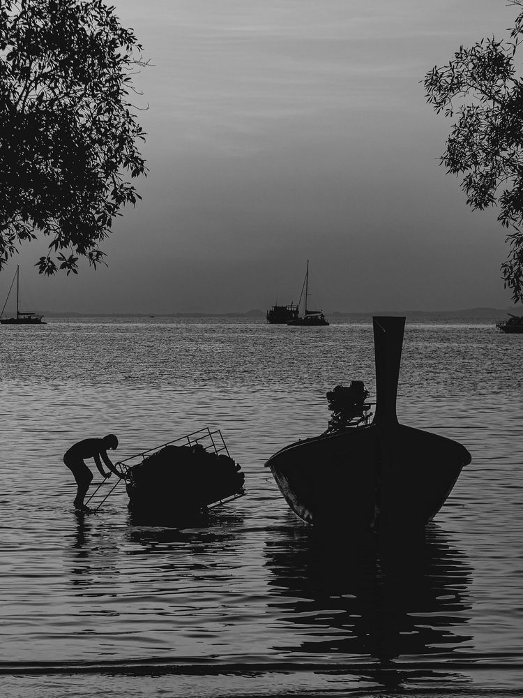 Photograph by Полина Родина