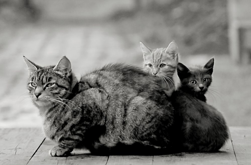 Photograph by Татьяна Слесарева