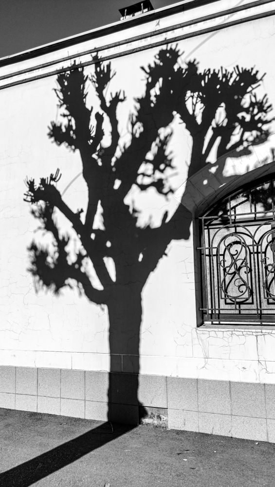 Photograph by Алена Лосева