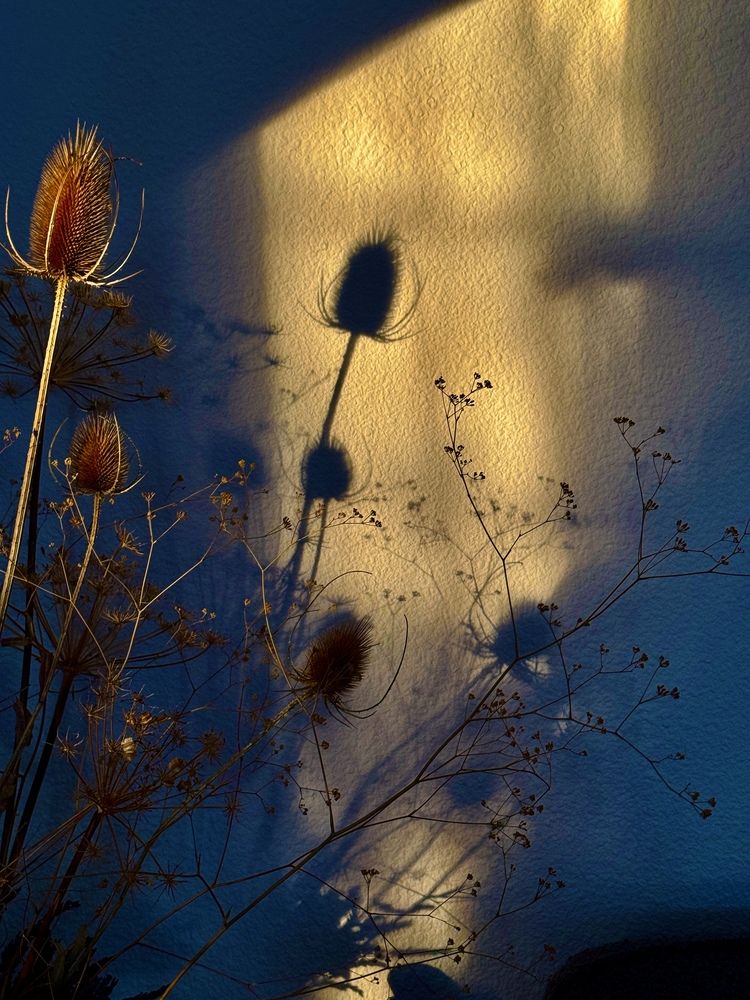 Photograph by Marina Odintsova