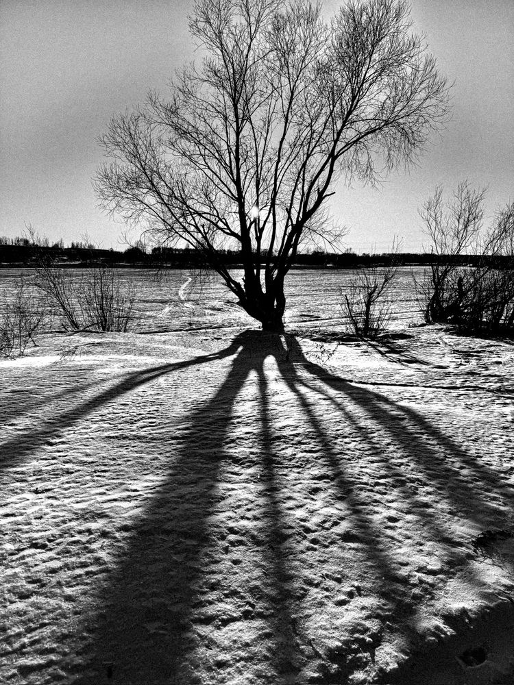 Photograph by Галина Шиманцова