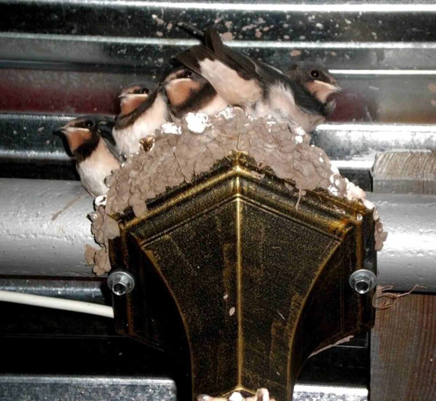 Photo #13461802