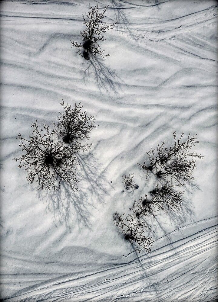 Photograph by Iuliia Akhulkova