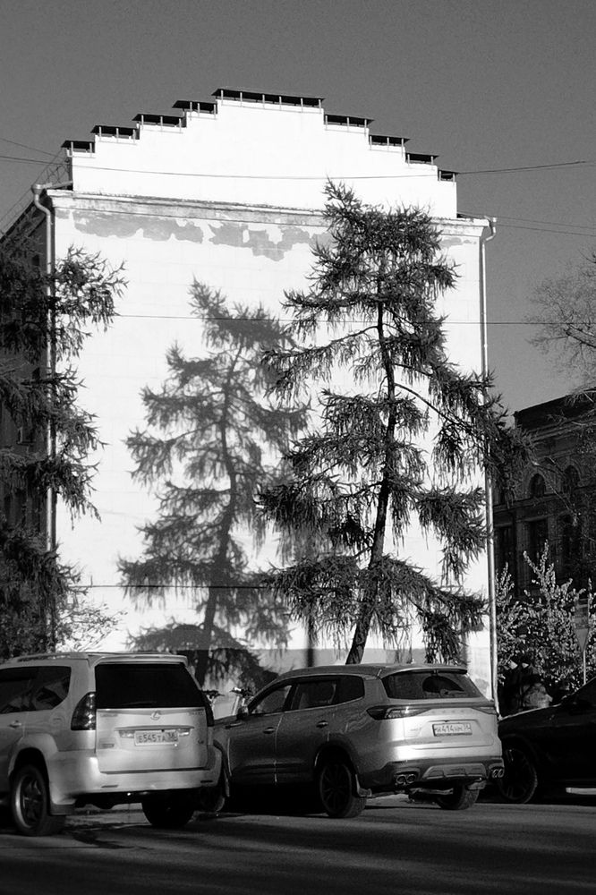 Photograph by Ольга Шангареева