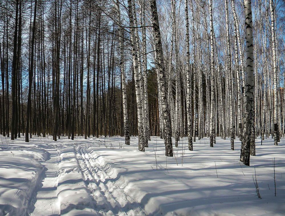 Photograph by Алексей Патлах