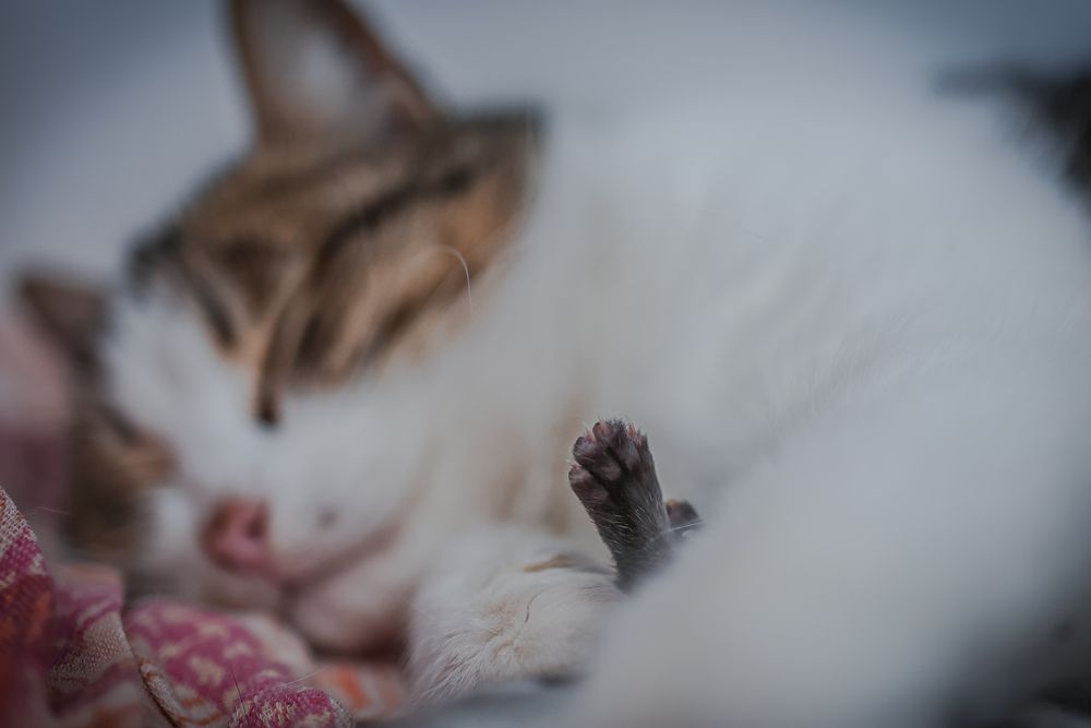 Photograph by Рустам Сафин