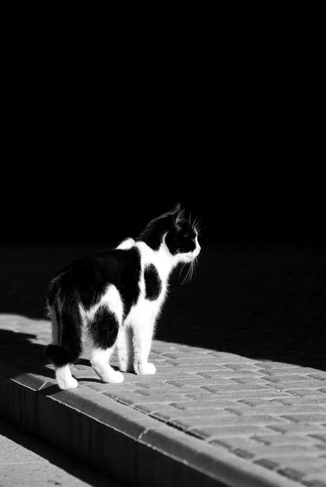 Photograph by Виктория Уварова