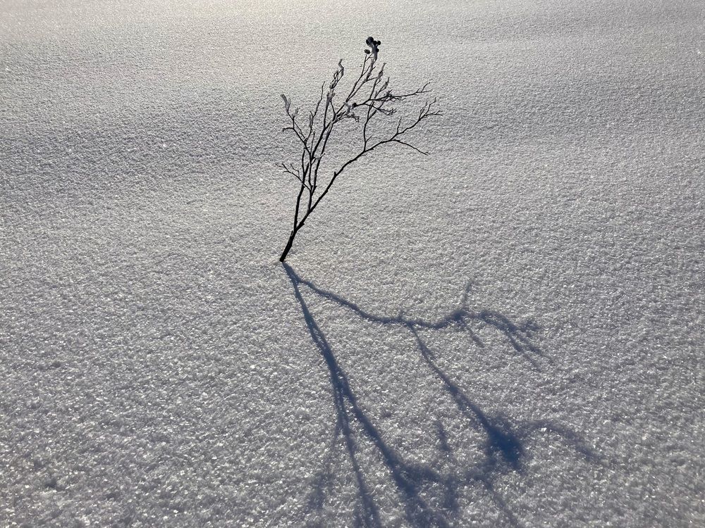 Photograph by Наталия Ерёмина
