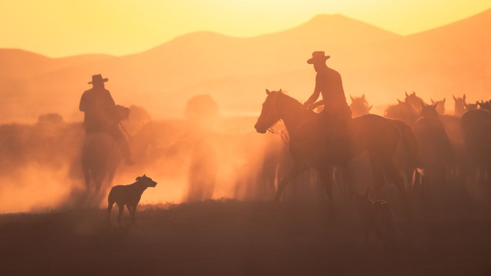 Фотография автора ibrahim UTANIR