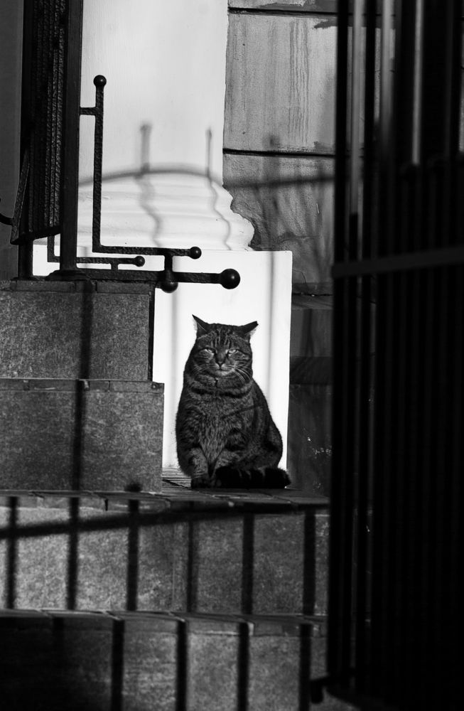 Photograph by Виктория Уварова