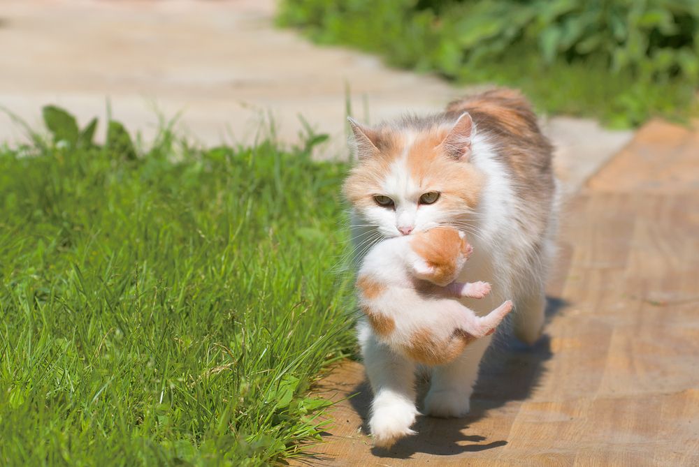 Photograph by Константин Пухов