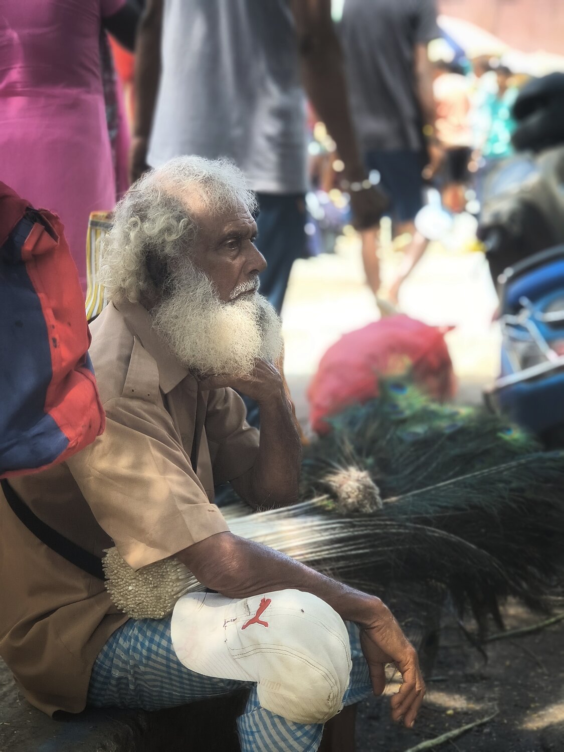 Photo #13462255