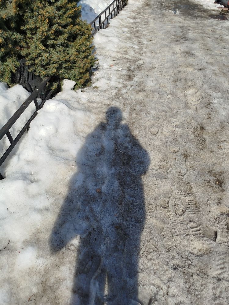 Photograph by Елена Горева