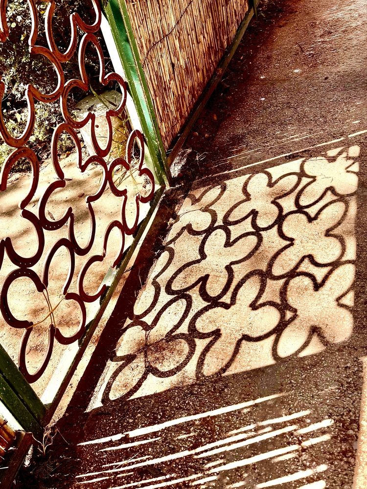 Photograph by Алла Киселева