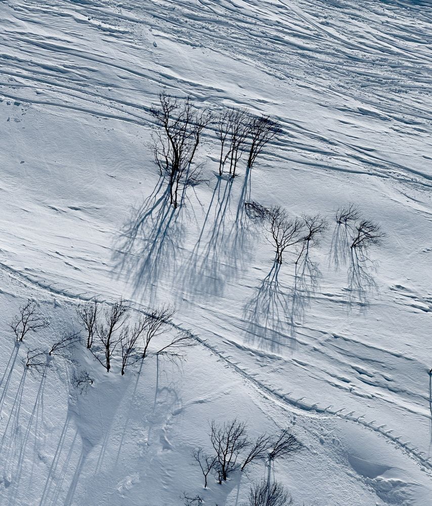 Photograph by Elena Ananieva