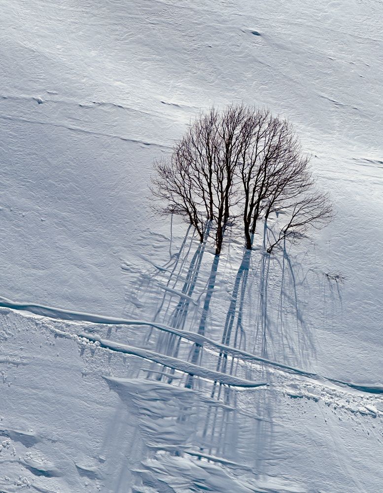 Photograph by Elena Ananieva