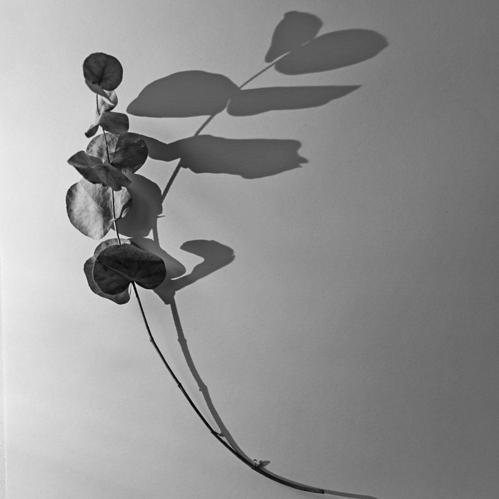 Photograph by Светлана Поливанова