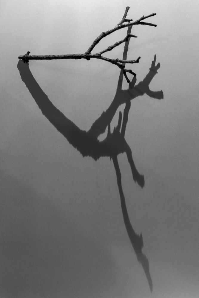 Photograph by Светлана Поливанова