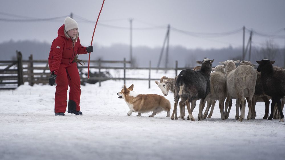 Фотография автора Милана Маллер