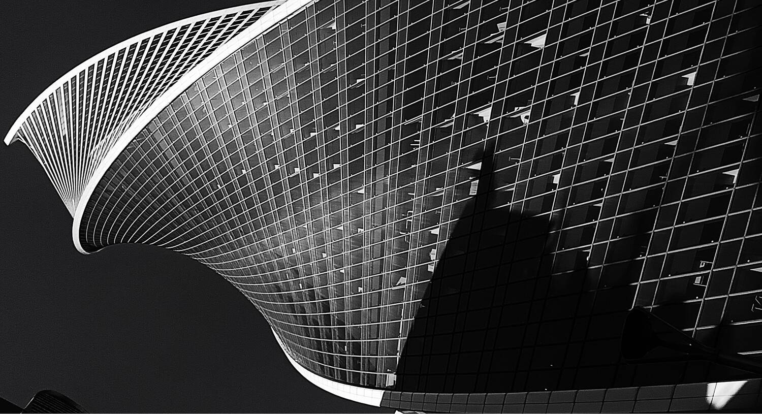 триединство теней триединство теней