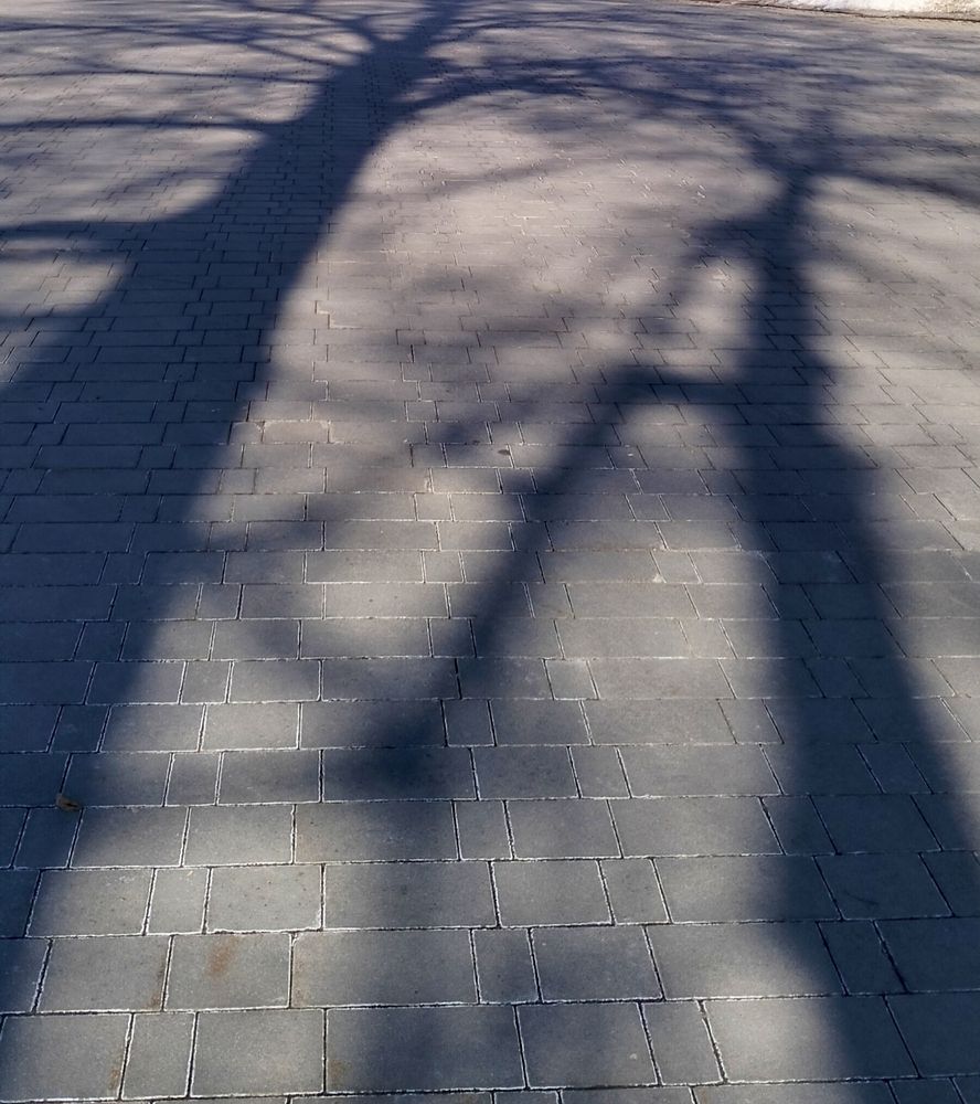 Photograph by Svetlana Aleks