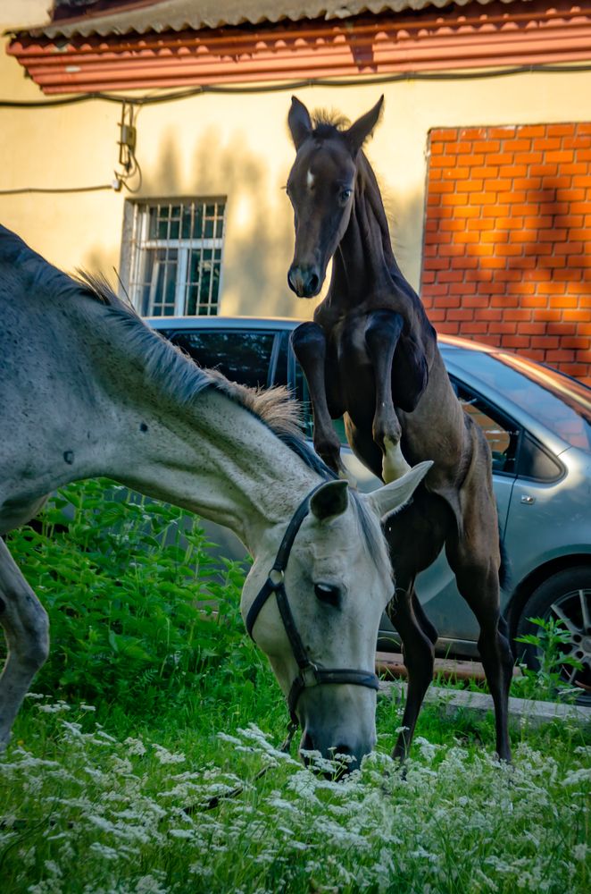 Photograph by Ольга Заповедная