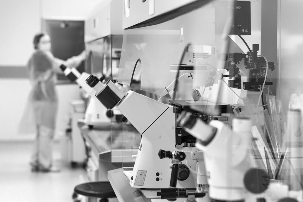 Photograph by Вячеслав Крапивин