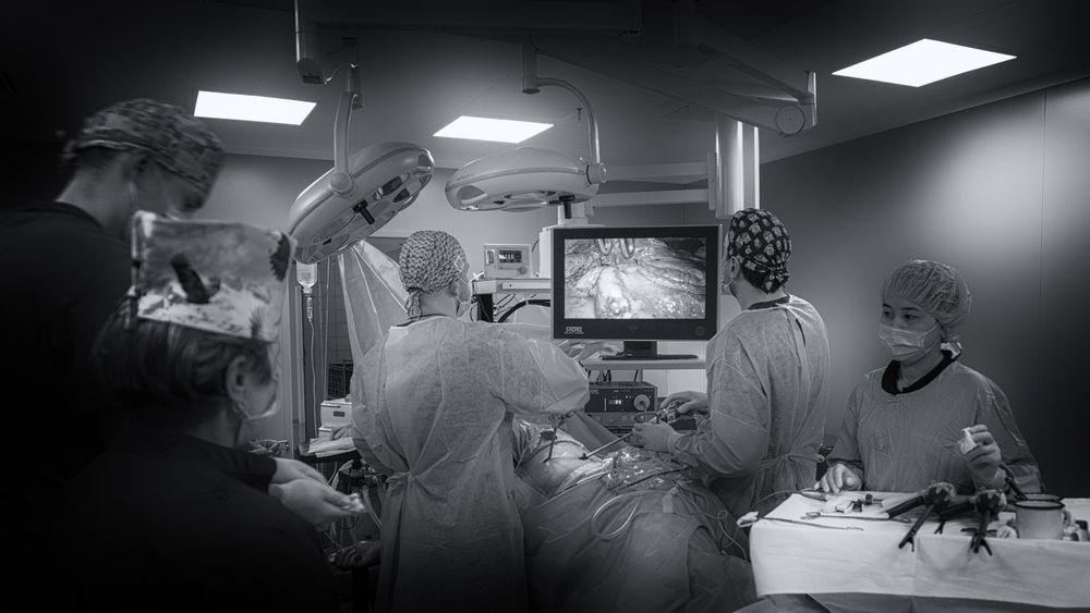 Photograph by Вячеслав Крапивин