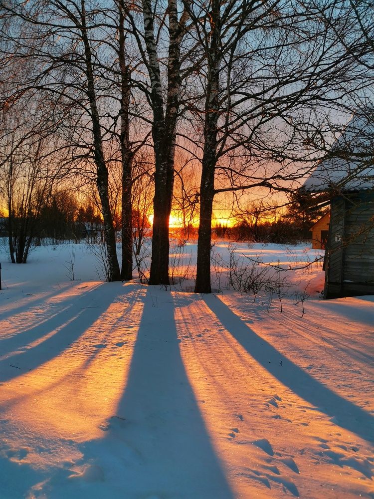 Photograph by Андрей Шестаков