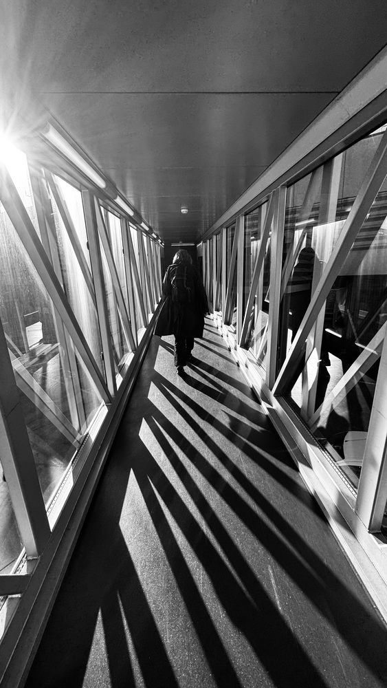 Photograph by Olga Iavorskaia