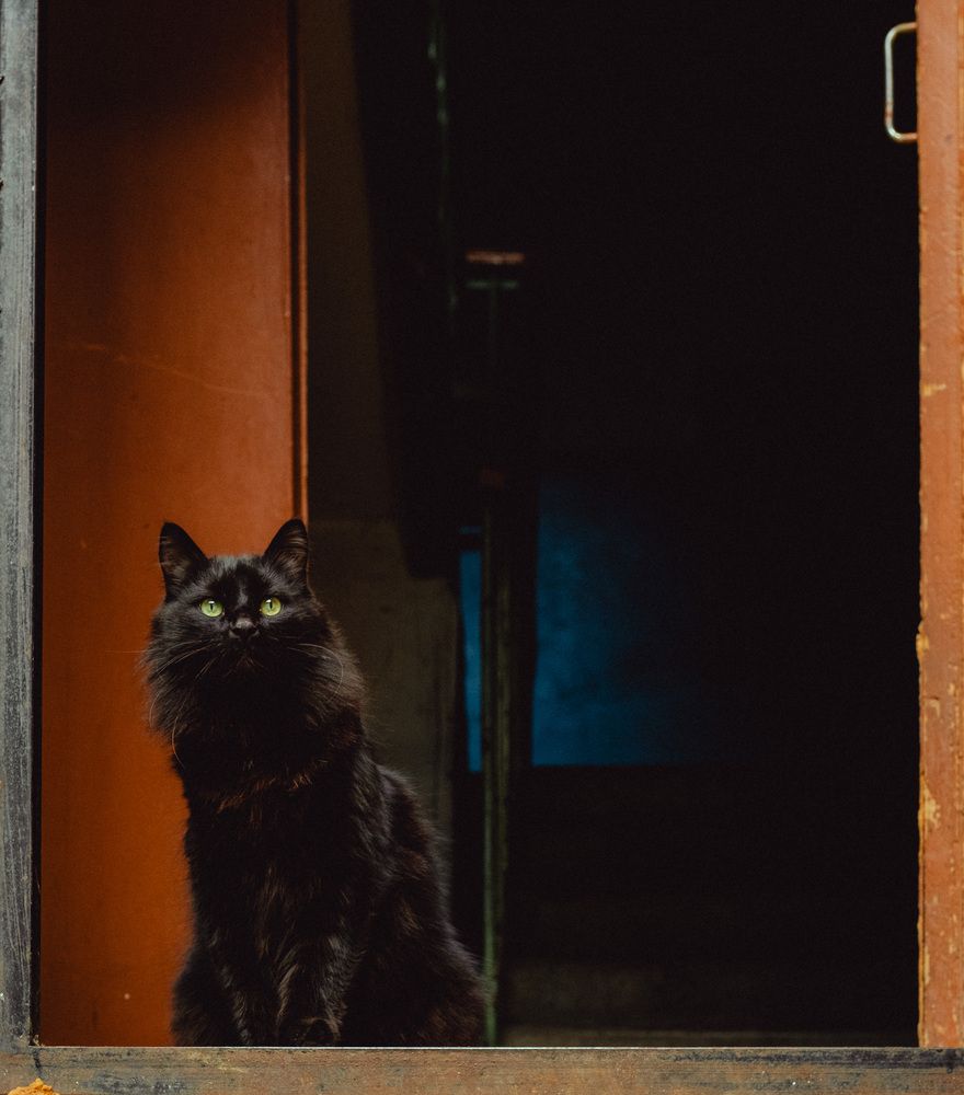 Фотография автора Sergey Mokosin