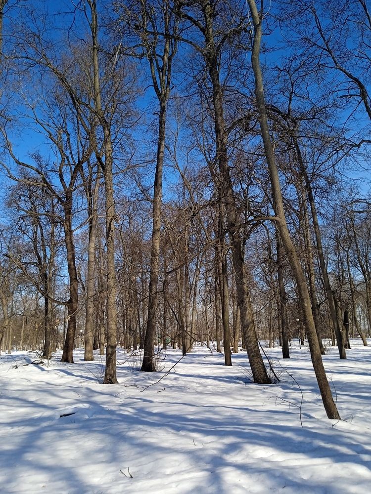 Photograph by Светлана Колбасова
