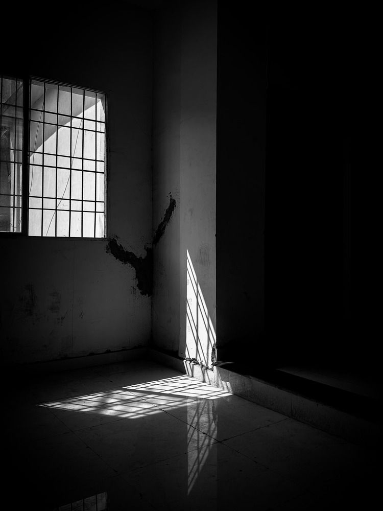 Where Light Waits