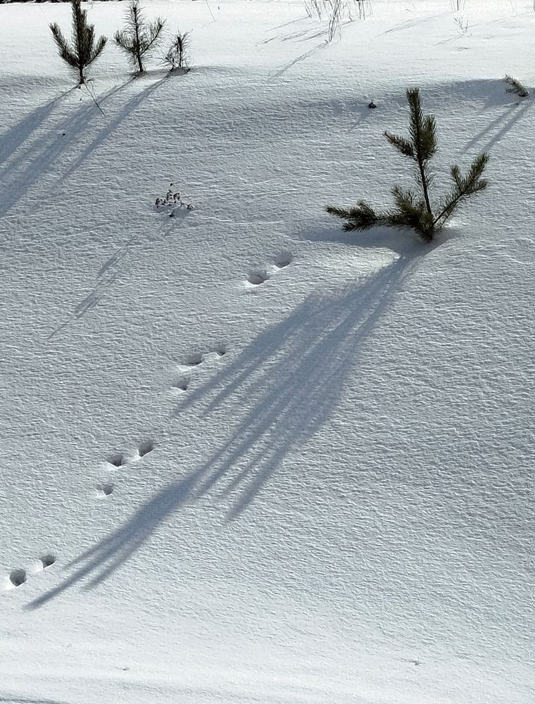 Photograph by Елена Алешкевич