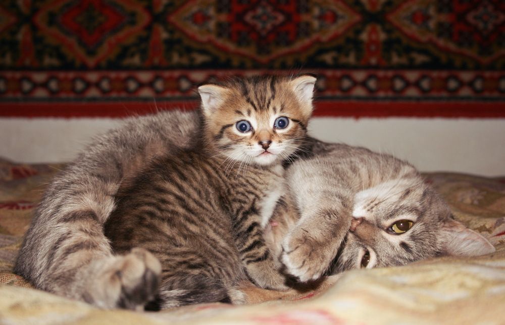 Photograph by Владимир Сафронов