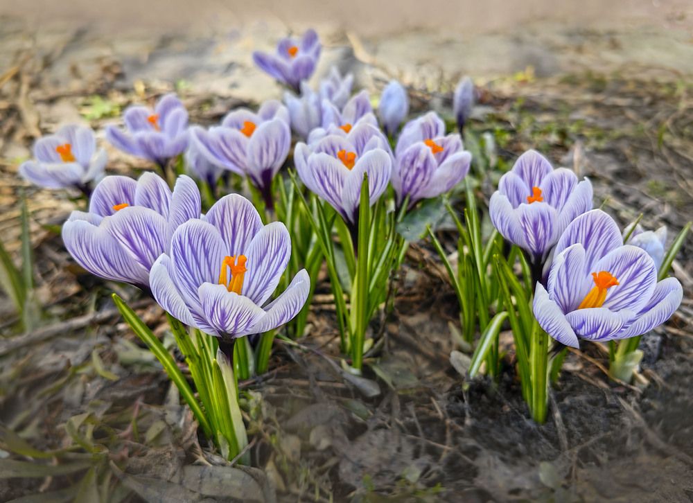Photograph by Татьяна Мишустина