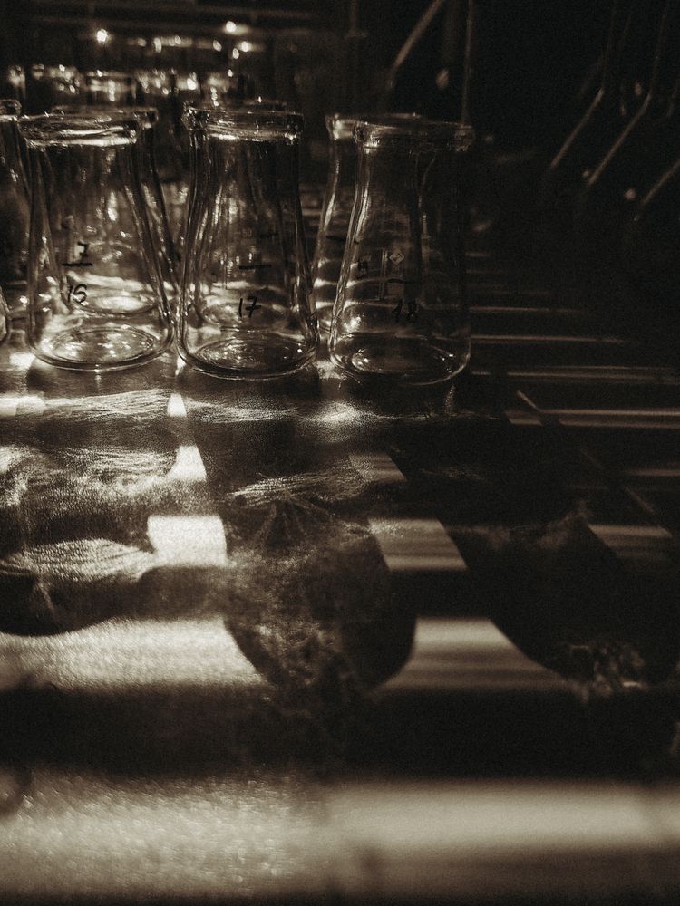 Фотография автора Елена Неведицына