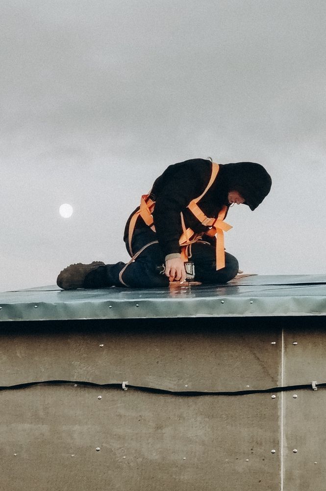 Photograph by Елена Неведицына