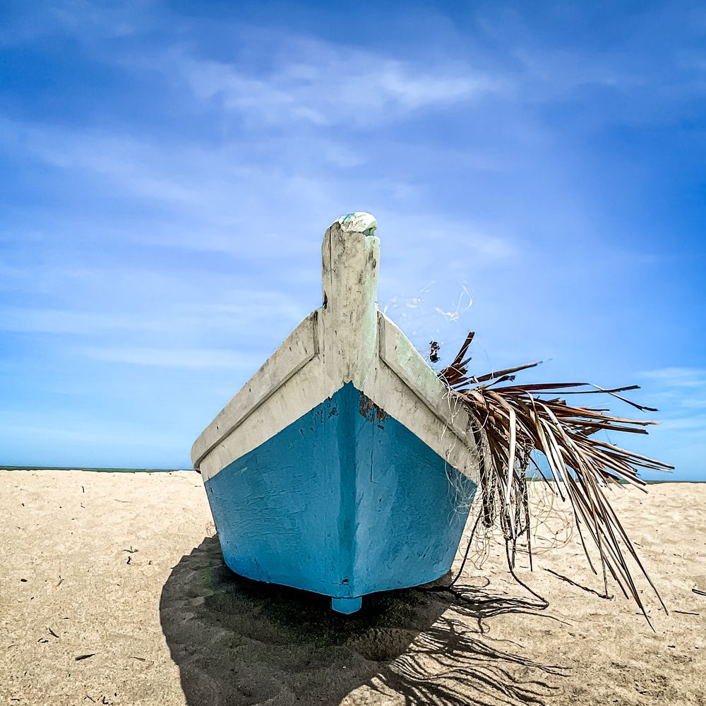 The Shoreline Sentinel